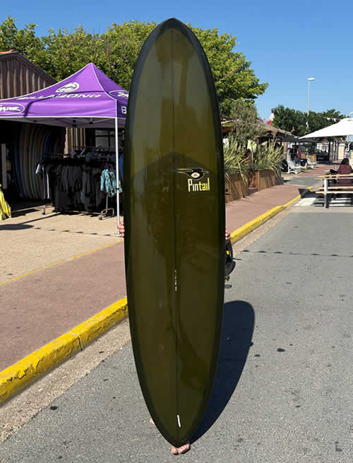 Bing Pintail light